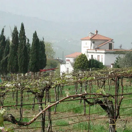 Pier Delle Vigne B&B-2